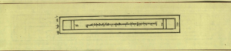 File:DNZ-Shechen-12-NA-035.pdf