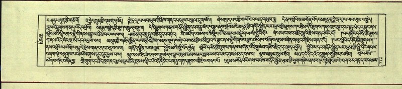 File:DNZ-Shechen-12-NA-036.pdf