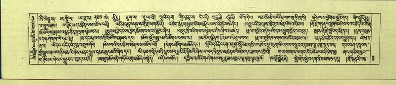 File:DNZ-Shechen-13-PA-002.pdf