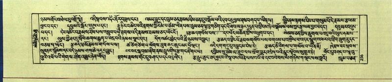 File:DNZ-Shechen-15-BA-007.pdf