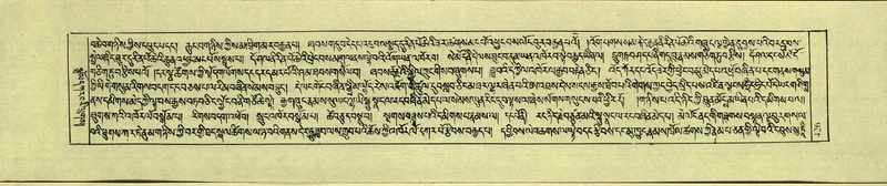 File:DNZ-Shechen-17-TSA-027.pdf