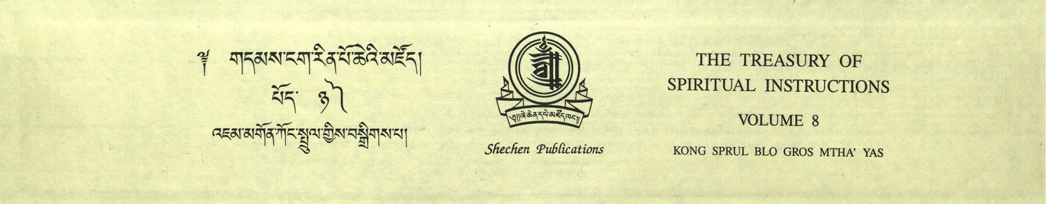 DNZ Volume 8 Shechen Tsadra.pdf